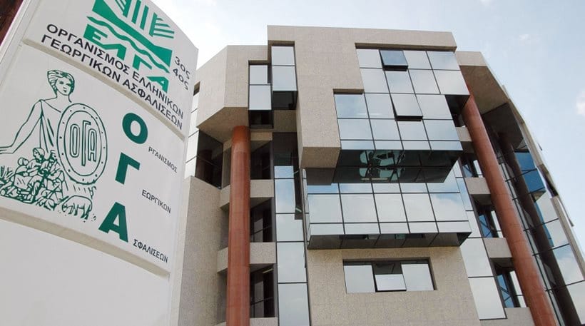 ΟΓΑ: Ενισχύσεις σε 1.500 πολύτεκνες αγρότισσες, κριτήρια και πότε καταθέτουν τις αιτήσεις οι ενδιαφερόμενες ΟΓΑ: Ενισχύσεις σε 1.500 πολύτεκνες αγρότισσες, κριτήρια και πότε καταθέτουν τις αιτήσεις οι ενδιαφερόμενες