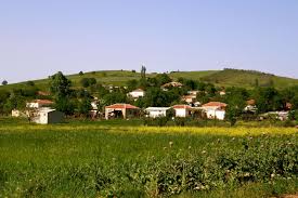 images (1)