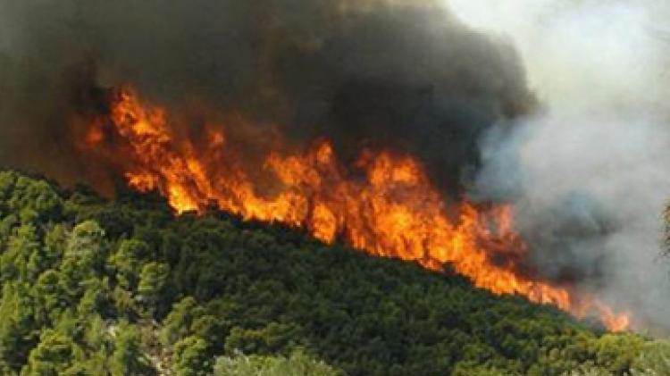 Έσβησε η φωτιά στα Στύρφακα… Έσβησε η φωτιά στα Στύρφακα…
