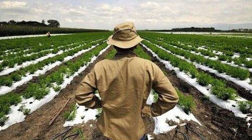 Δύο χρόνια νωρίτερα έρχεται η αύξηση-σοκ στις εισφορές των αγροτών Δύο χρόνια νωρίτερα έρχεται η αύξηση-σοκ στις εισφορές των αγροτών