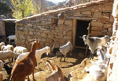 Με παράβολο 300 ευρώ και αίτηση νομιμοποίηση στάβλων Με παράβολο 300 ευρώ και αίτηση νομιμοποίηση στάβλων