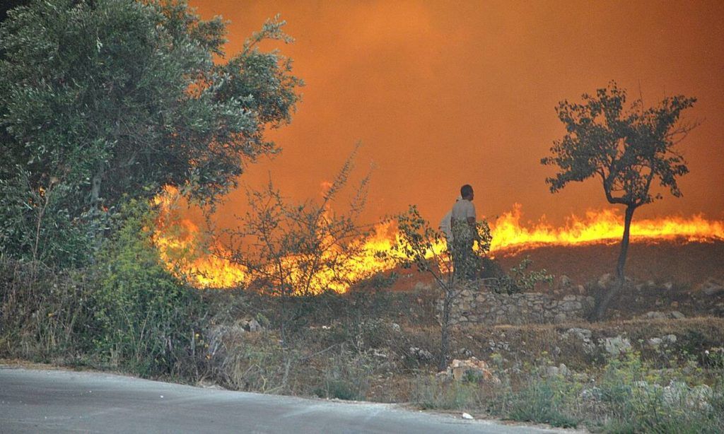 Φωτιά ΤΩΡΑ: Συναγερμός στο Λαύριο για τη μεγάλη πυρκαγιά – Εκκενώθηκε καταυλισμός προσφύγων.