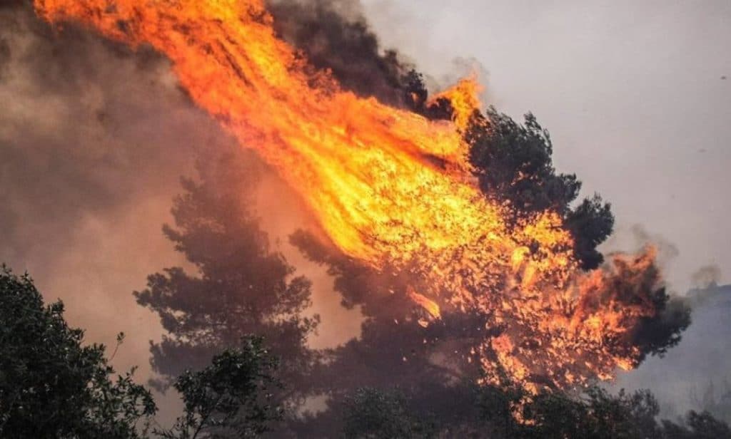Δυο φωτιές ταυτόχρονα στο Δομοκό στο Βούζι και στο  Βαρδαλή