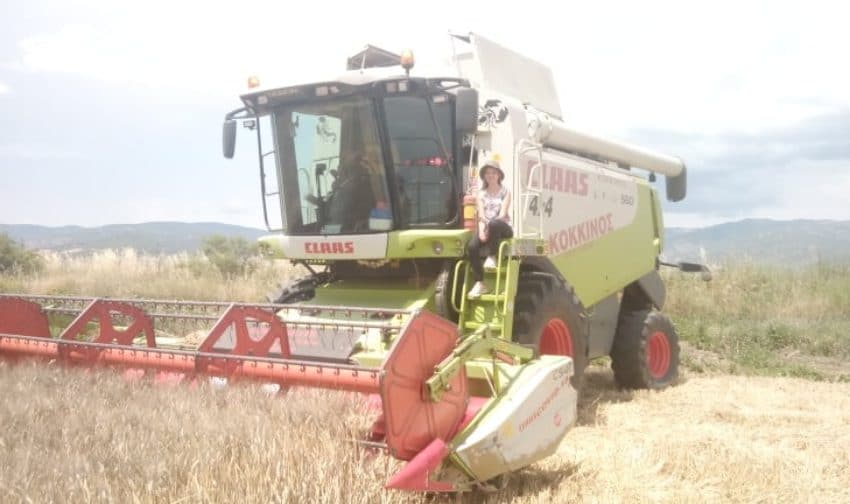 Στο αλώνισμα του χρόνου Στο αλώνισμα του χρόνου