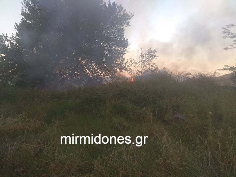 Συμβαίνει τώρα φωτιά στο Δομοκό Συμβαίνει τώρα φωτιά στο Δομοκό