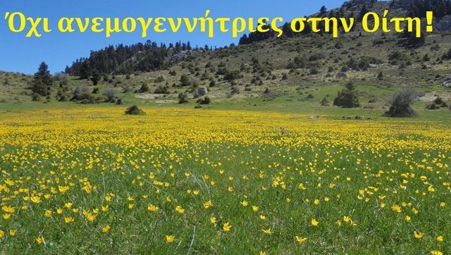 Παίρνει θέση ο Κυνηγετικός Σύλλογος Λαμίας για τις ανεμογεννήτριες της Οίτης Παίρνει θέση ο Κυνηγετικός Σύλλογος Λαμίας για τις ανεμογεννήτριες της Οίτης