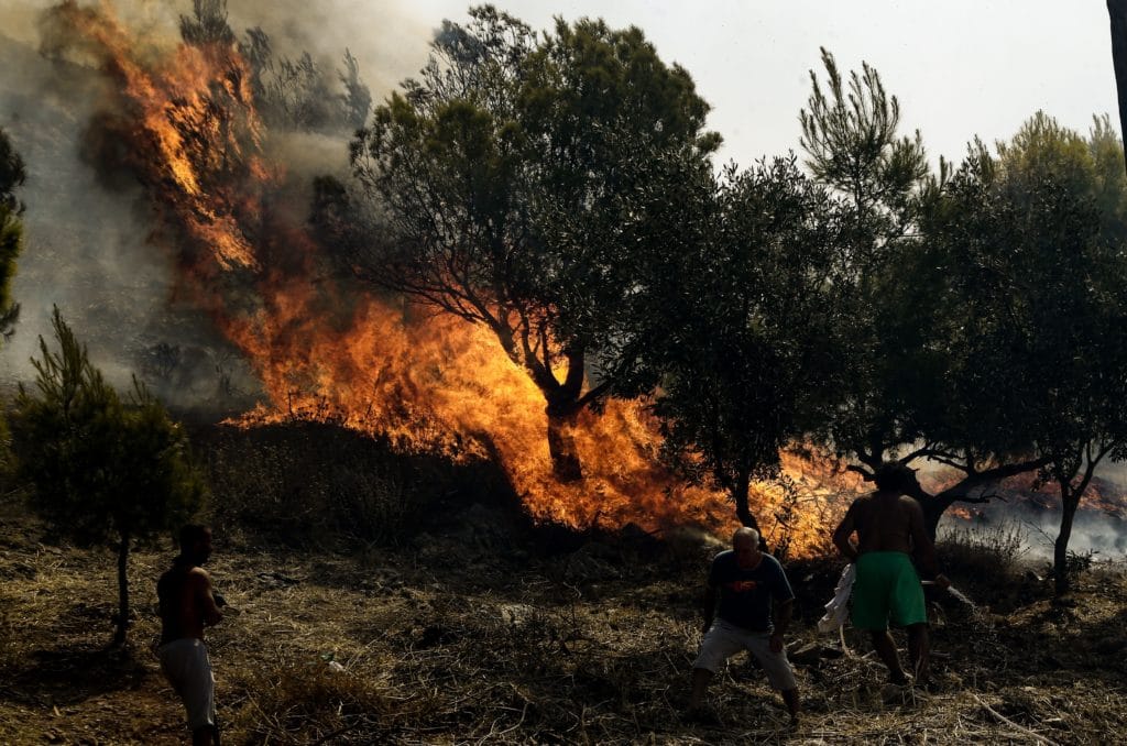 Φωτιά ΤΩΡΑ στην Μάνδρα Αττικής Φωτιά ΤΩΡΑ στην Μάνδρα Αττικής