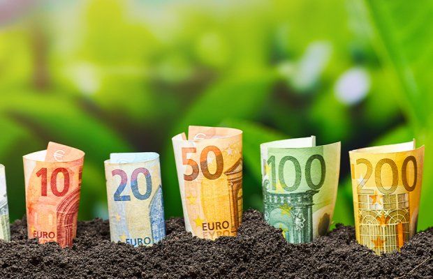 Ενίσχυση από 60 έως 90 ευρώ για 12 νέες ομάδες κηπευτικών στα Βιολογικά, φθινόπωρο βγαίνει η προκήρυξη Ενίσχυση από 60 έως 90 ευρώ για 12 νέες ομάδες κηπευτικών στα Βιολογικά, φθινόπωρο βγαίνει η προκήρυξη