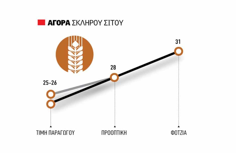 Στην αποθήκη βάζουν το σκληρό σιτάρι οι παραγωγοί, 10 ευρώ κέρδισε η Φότζια Στην αποθήκη βάζουν το σκληρό σιτάρι οι παραγωγοί, 10 ευρώ κέρδισε η Φότζια
