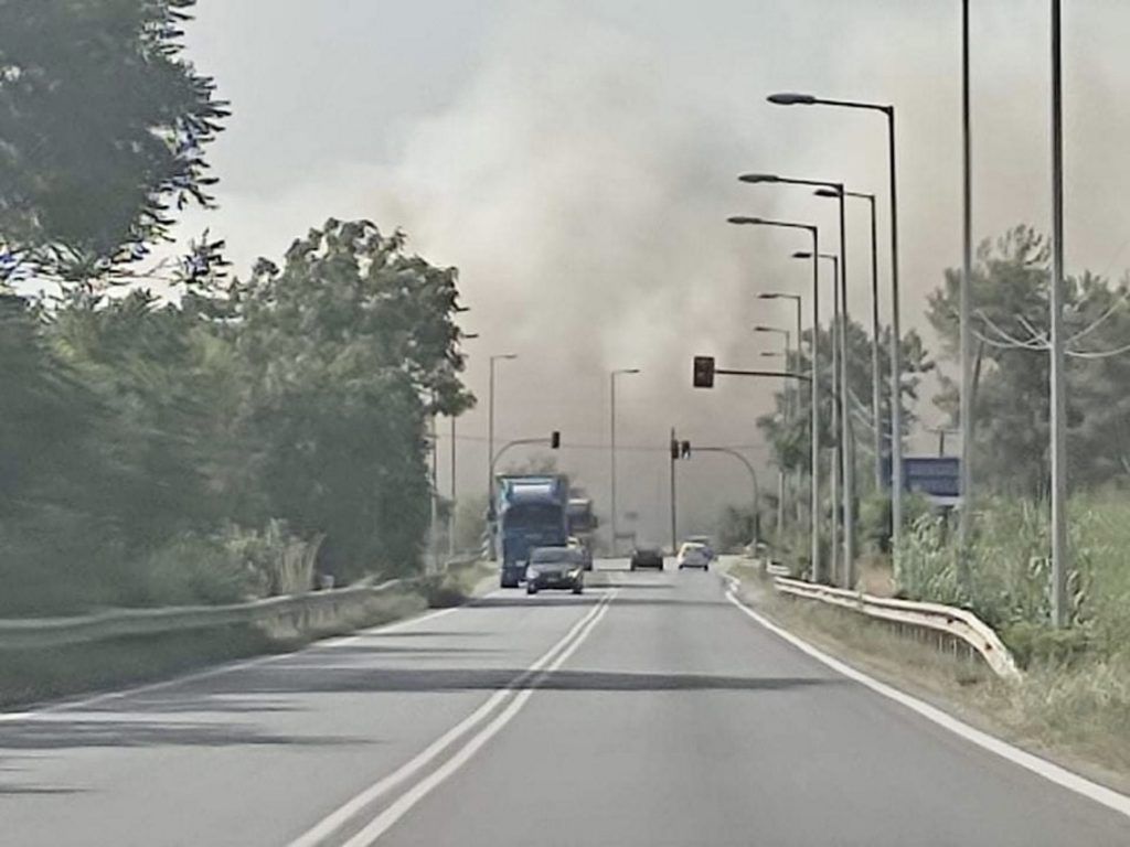 Φωτιά στην εθνική οδό Λαρίσης – Τρικάλων κοντά στα ΤΕΙ Φωτιά στην εθνική οδό Λαρίσης – Τρικάλων κοντά στα ΤΕΙ