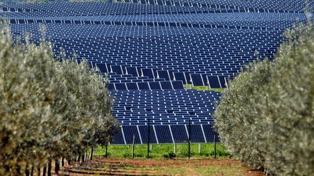 Φθιώτιδα: «Πράσινο» σε νέο mega φωτοβολταϊκό 200 MW στο Δομοκό