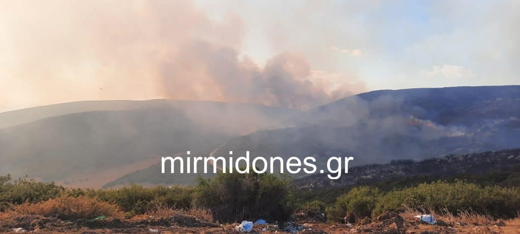 Συνεχίζει η φωτιά στο Πετρωτό Δομοκού (φωτογραφίες-video)
