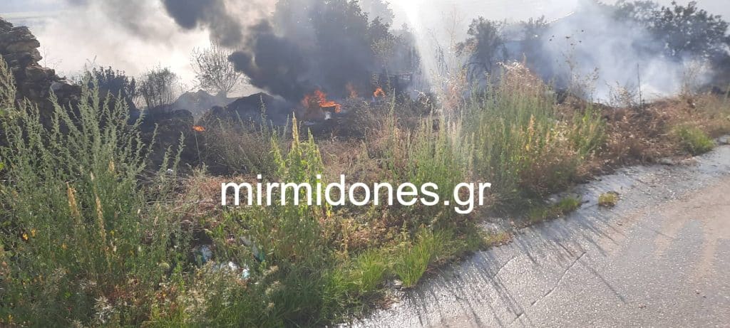 ΕΚΤΑΚΤΟ-Φωτιά και στη Μαντασιά Δομοκού(φωτογραφίες-video)