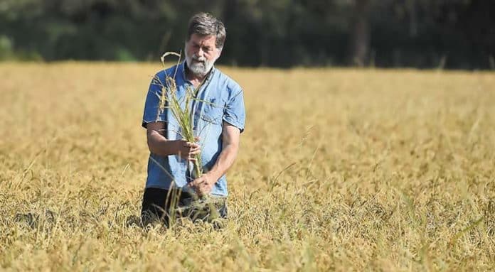 Δελτίο Τύπου: Πληρωμή του προανθικού σταδίου για πρώτη φορά, στους αγρότες που επλήγησαν από τον παγετό Δελτίο Τύπου: Πληρωμή του προανθικού σταδίου για πρώτη φορά, στους αγρότες που επλήγησαν από τον παγετό