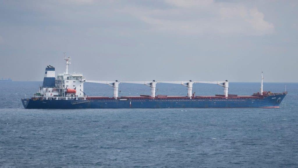 Τουρκία: Ομάδα επιθεωρητών στο πρώτο πλοίο με ουκρανικά σιτηρά που απέπλευσε από Οδησσό