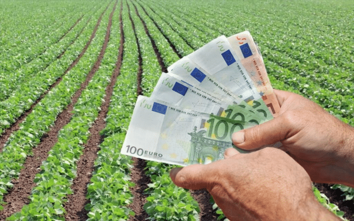 Ποια καλλιέργεια αποδίδει 40.000€ ανά στρέμμα ετησίως Ποια καλλιέργεια αποδίδει 40.000€ ανά στρέμμα ετησίως