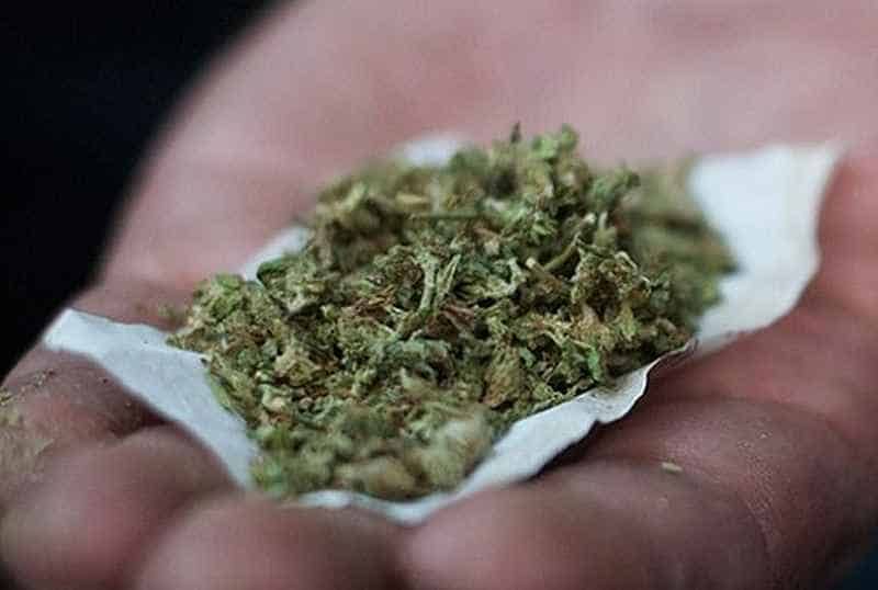 Λιβαδειά: Αδέλφια θα διακινούσαν δεκάδες «φιξάκια» κάνναβης Λιβαδειά: Αδέλφια θα διακινούσαν δεκάδες «φιξάκια» κάνναβης