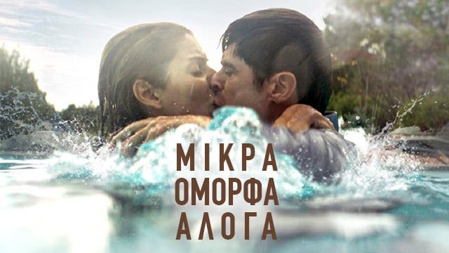Μικρά Όμορφα Άλογα Μικρά Όμορφα Άλογα