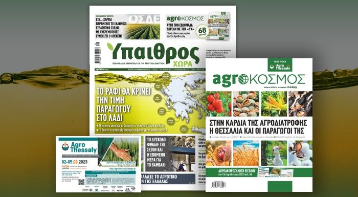 Το ράφι θα κρίνει την τιμή παραγωγού στο λάδι Το ράφι θα κρίνει την τιμή παραγωγού στο λάδι