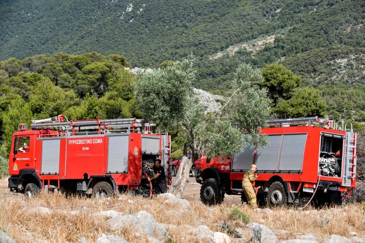Φωτιά τώρα σε δασική έκταση στη Φθιώτιδα Φωτιά τώρα σε δασική έκταση στη Φθιώτιδα