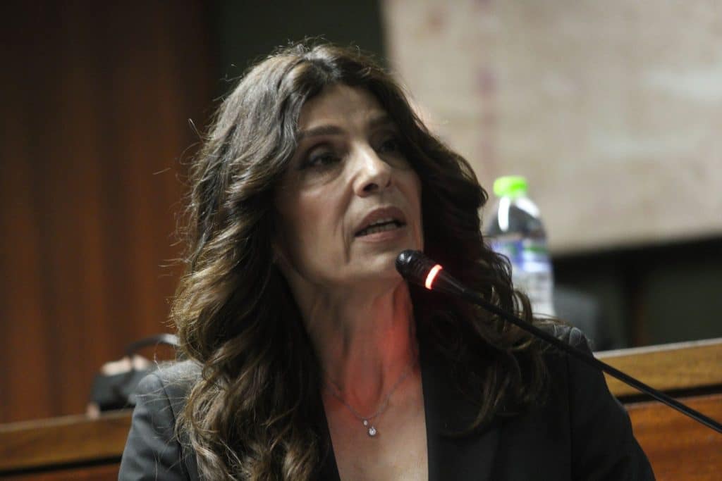 Π. Τσαπανίδου: Ασέβεια προς τις οικογένειες των θυμάτων το επιχείρημα ότι για όλα φταίνε οι άλλοι και ποτέ η κυβέρνηση