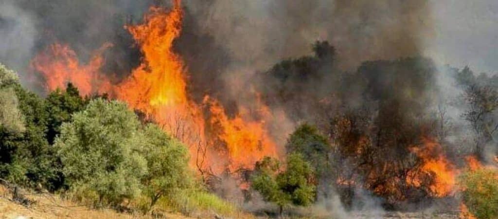 Σε εξέλιξη  φωτιά στο Νεοχώρι Δομοκού