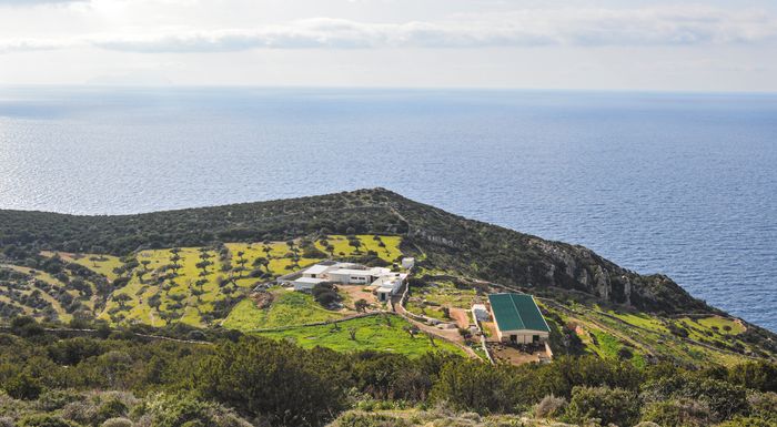Ο πρωτογενής τομέας μπορεί να συμβάλει στη βιώσιμη ανάπτυξη των μικρών νησιών Ο πρωτογενής τομέας μπορεί να συμβάλει στη βιώσιμη ανάπτυξη των μικρών νησιών