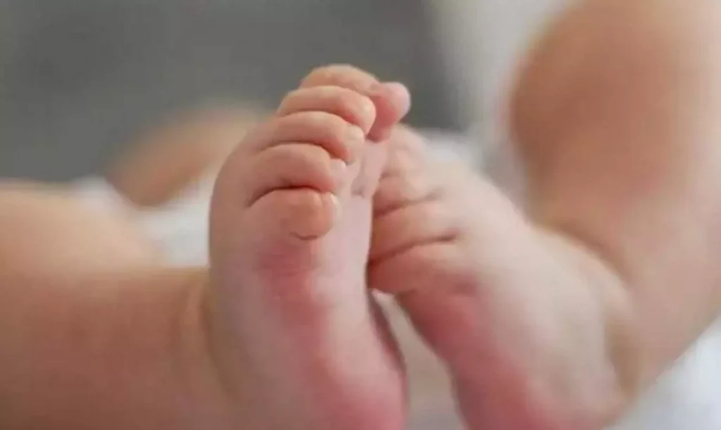 Λάρισα: Τι δείχνει η ιατροδικαστική εξέταση για το νεκρό βρέφος που βρέθηκε θαμμένο σε χωράφι Λάρισα: Τι δείχνει η ιατροδικαστική εξέταση για το νεκρό βρέφος που βρέθηκε θαμμένο σε χωράφι