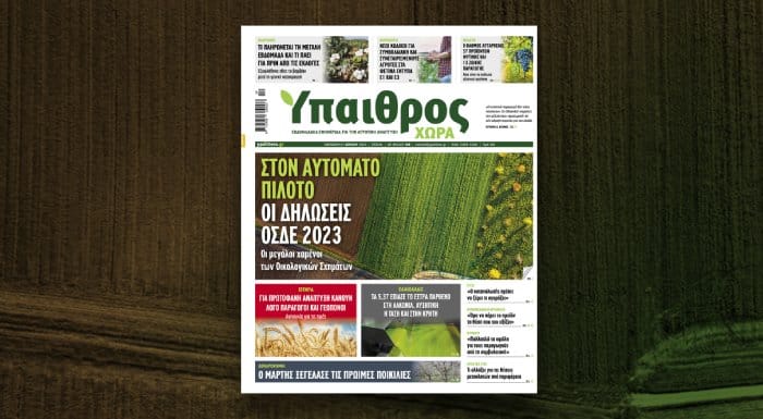 Στον αυτόματο πιλότο οι δηλώσεις ΟΣΔΕ 2023 Στον αυτόματο πιλότο οι δηλώσεις ΟΣΔΕ 2023