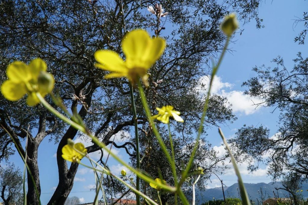 Πρωτομαγιά 2023: Με τι καιρό θα κάνουμε τριήμερο