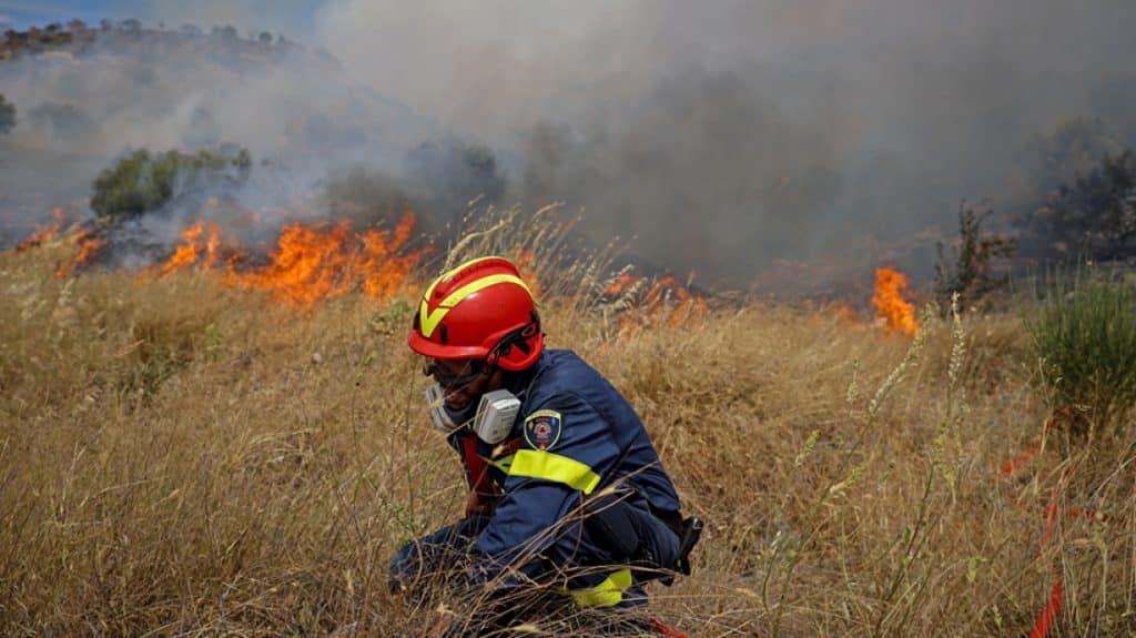 Υπο Έλεγχο η φωτιά σε Νεοχώρι και Πετρωτό Δομοκού. Υπο Έλεγχο η φωτιά σε Νεοχώρι και Πετρωτό Δομοκού.