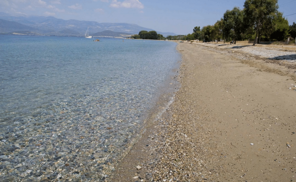Χαλκιδική: Πνιγμός 79χρονου στην παραλία της Μεταμόρφωσης Χαλκιδική: Πνιγμός 79χρονου στην παραλία της Μεταμόρφωσης