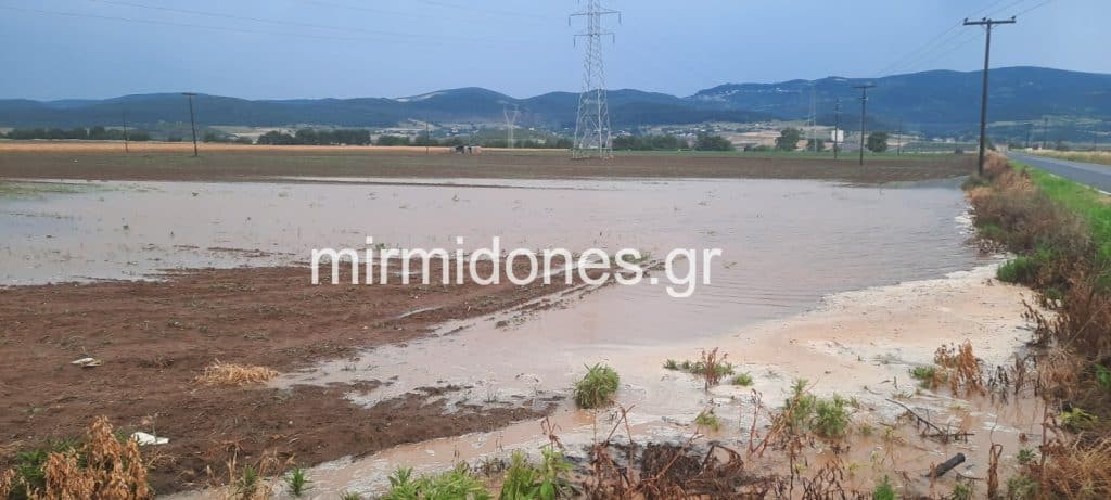 Τεράστιες ζημιές σε καλλιέργειες- Για ”βιβλική” καταστροφή μιλούν οι παραγωγοί του Δήμου Δομοκού