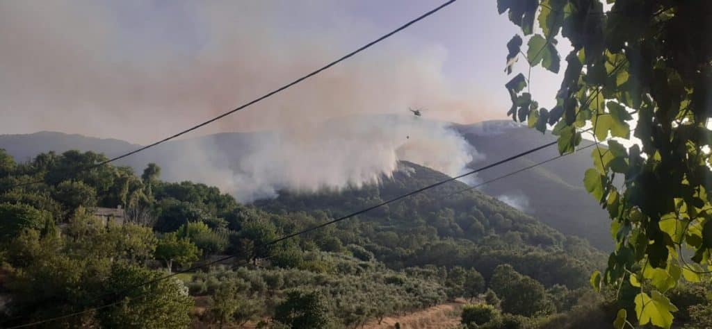 Φωτιά στην Κέρκυρα: Μάχη με τις αναζωπυρώσεις – Εκκένωση οικισμών – Καταγγελίες για εμπρησμό Φωτιά στην Κέρκυρα: Μάχη με τις αναζωπυρώσεις – Εκκένωση οικισμών – Καταγγελίες για εμπρησμό