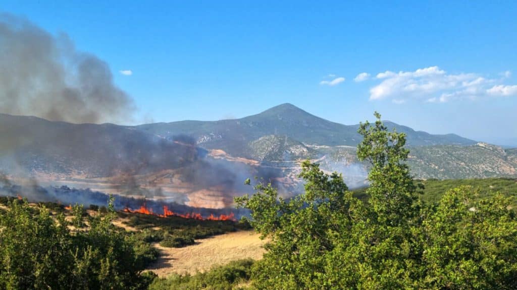 Λαμία: Σε ύφεση η φωτιά Λαμία: Σε ύφεση η φωτιά