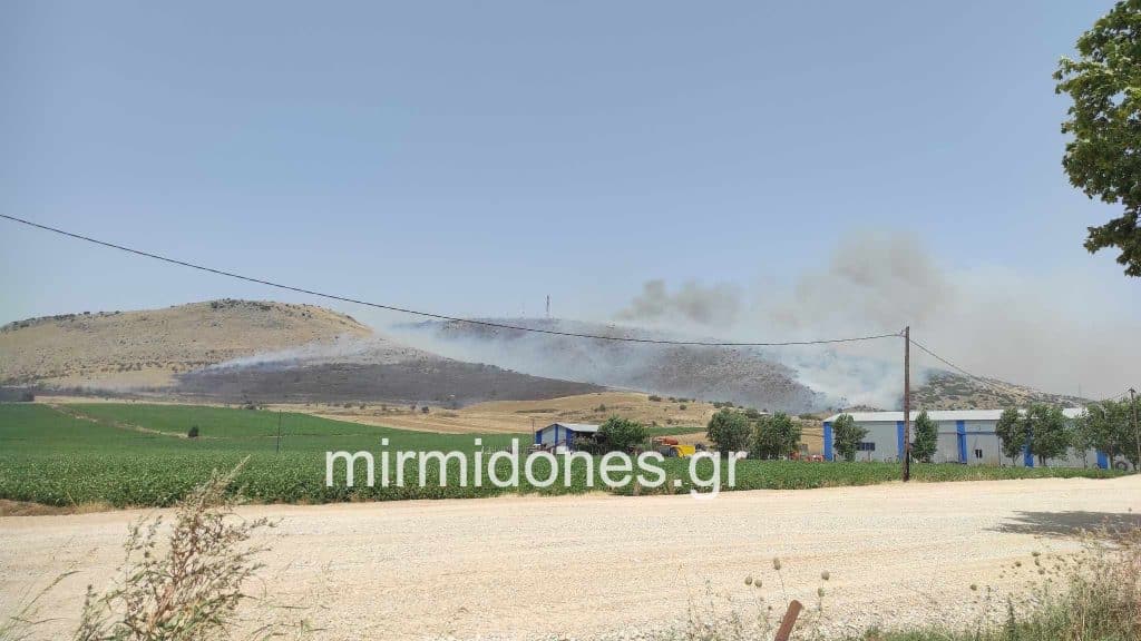 Συναγερμός για φωτιά στο Νεο Μοναστήρι Δομοκού. Συναγερμός για φωτιά στο Νεο Μοναστήρι Δομοκού.