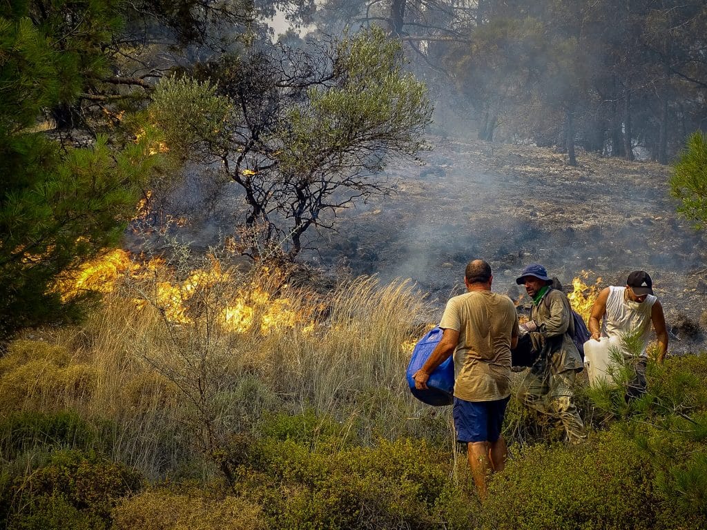 Φωτιά στη Ρόδο – Εκπρ. Λιμενικού: Η επιχείρηση αλλά και η φωτιά είναι σε εξέλιξη – Ο μεγαλύτερος όγκος εγκλωβισμένων έχει μεταφερθεί Φωτιά στη Ρόδο – Εκπρ. Λιμενικού: Η επιχείρηση αλλά και η φωτιά είναι σε εξέλιξη – Ο μεγαλύτερος όγκος εγκλωβισμένων έχει μεταφερθεί