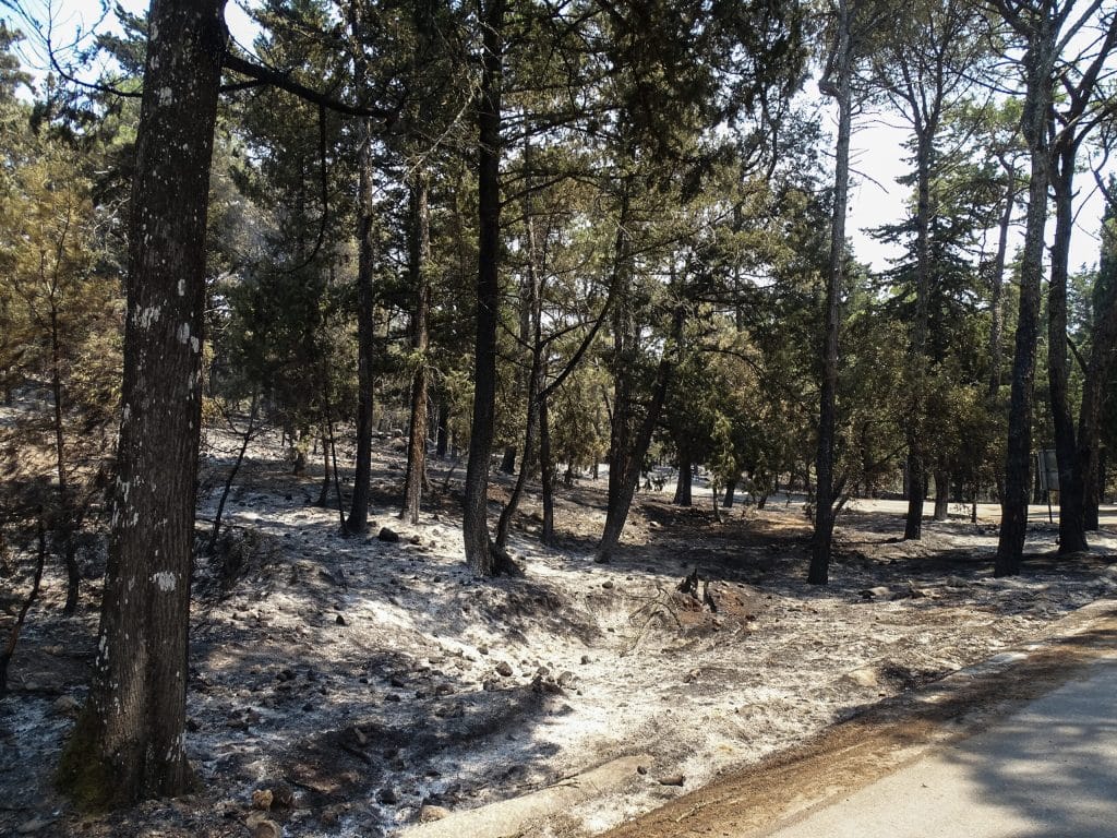 Γ. Ξανθόπουλος, δ/ντης Ερευνών ΕΛΓΟ Δήμητρα: Αποτυχημένη η αεροπυρόσβεση στα δάση – Θέλει βαθιά γνώση και συνεχή επαγρύπνηση