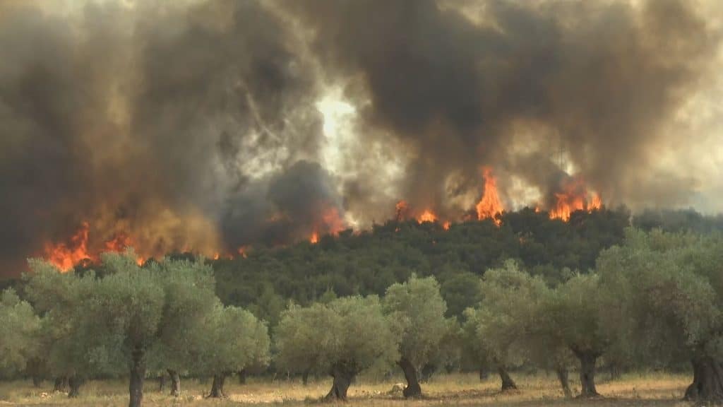 Live – Μεγάλη αναζωπύρωση σε Μέγαρα – Μάνδρα: Μήνυμα 112 σε Οινόη και Άγ. Ιωάννη Κορακά