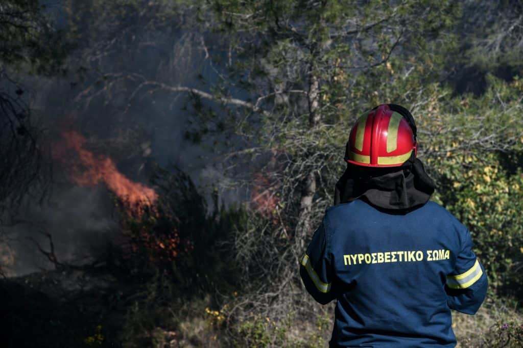 Θεσσαλονίκη: Φωτιά κοντά στον Σοχό – Επί τόπου ισχυρές δυνάμεις της Πυροσβεστικής