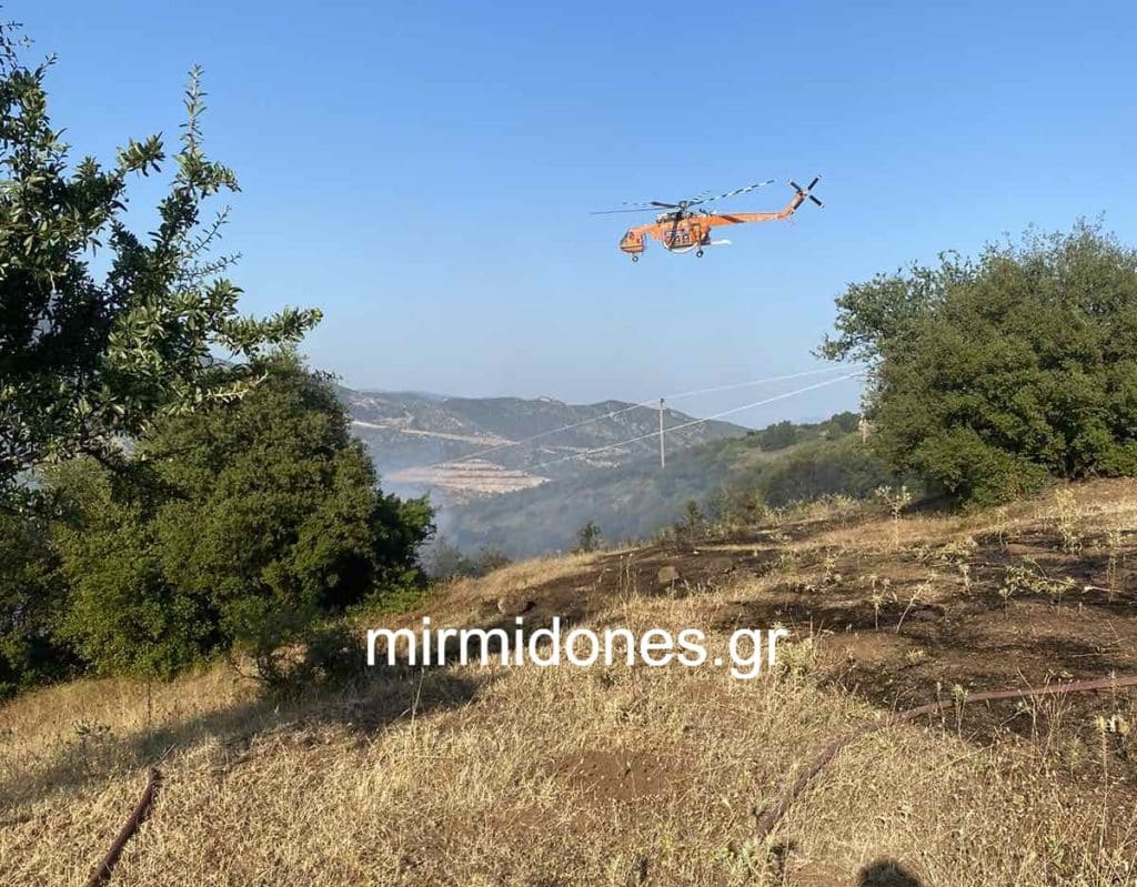Έκτακτο :Μεγάλη φωτιά στην Λαμία κοντά στον Προφήτη Ηλία