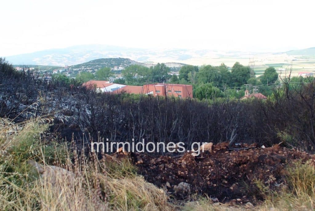 Δομοκός: Φωτιά πάνω από το Παράρτημα ΑμεΑ . Δομοκός: Φωτιά πάνω από το Παράρτημα ΑμεΑ .