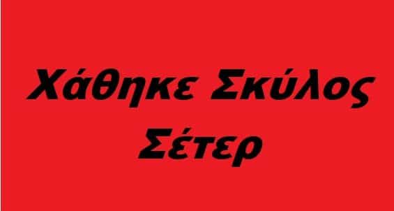 Χάθηκε σκύλος  Σέτερ στην περιοχή του Δομοκού – Μήπως τον βρήκατε?