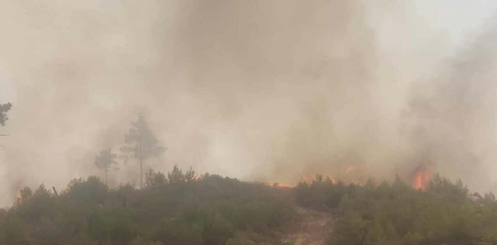 Φωτιά στον Αυλώνα: Τρεις εστίες σε τρεις ώρες – Δύο προσαγωγές υπόπτων για εμπρησμό Φωτιά στον Αυλώνα: Τρεις εστίες σε τρεις ώρες – Δύο προσαγωγές υπόπτων για εμπρησμό
