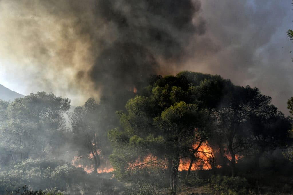 Έβρος: Μήνυμα του 112 για απομάκρυνση από την περιοχή της Αύρας προς Κομοτηνή Έβρος: Μήνυμα του 112 για απομάκρυνση από την περιοχή της Αύρας προς Κομοτηνή