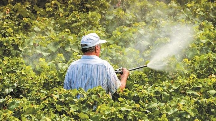 Στα 7,6 δισ. δολάρια θα εξαπλωθεί το μέγεθος της αγοράς έως το 2032 Στα 7,6 δισ. δολάρια θα εξαπλωθεί το μέγεθος της αγοράς έως το 2032
