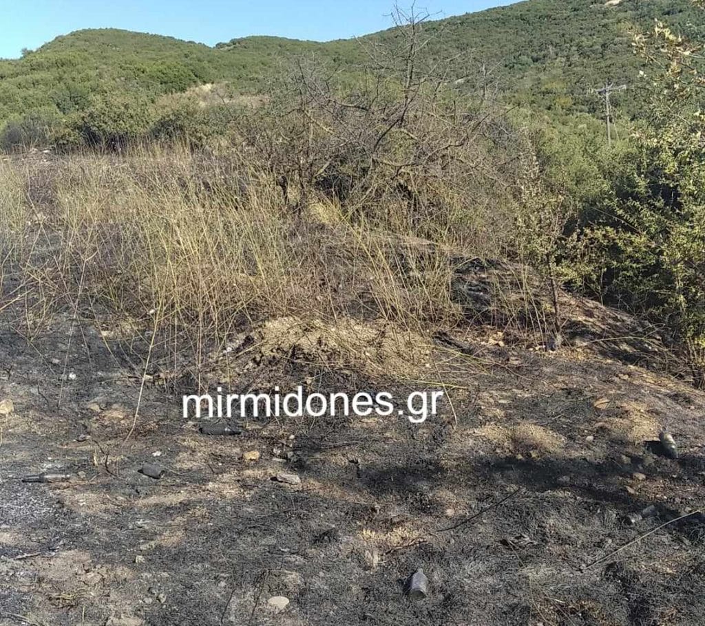 Άμεση κατάσβεση φωτιάς ανάμεσα στο Πουρνάρι – Δομοκό
