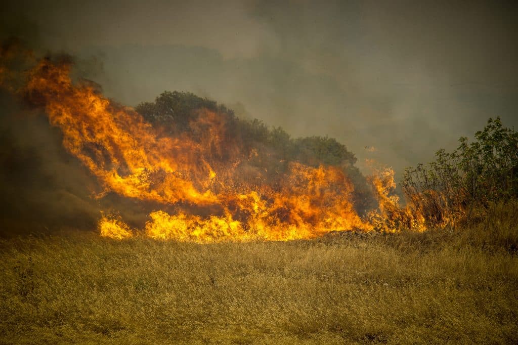 Εθνικό Αστεροσκοπείο Αθηνών: Σε 507.910 στρέμματα ανέρχονται οι καμένες εκτάσεις από τις πυρκαγιές του Ιουλίου