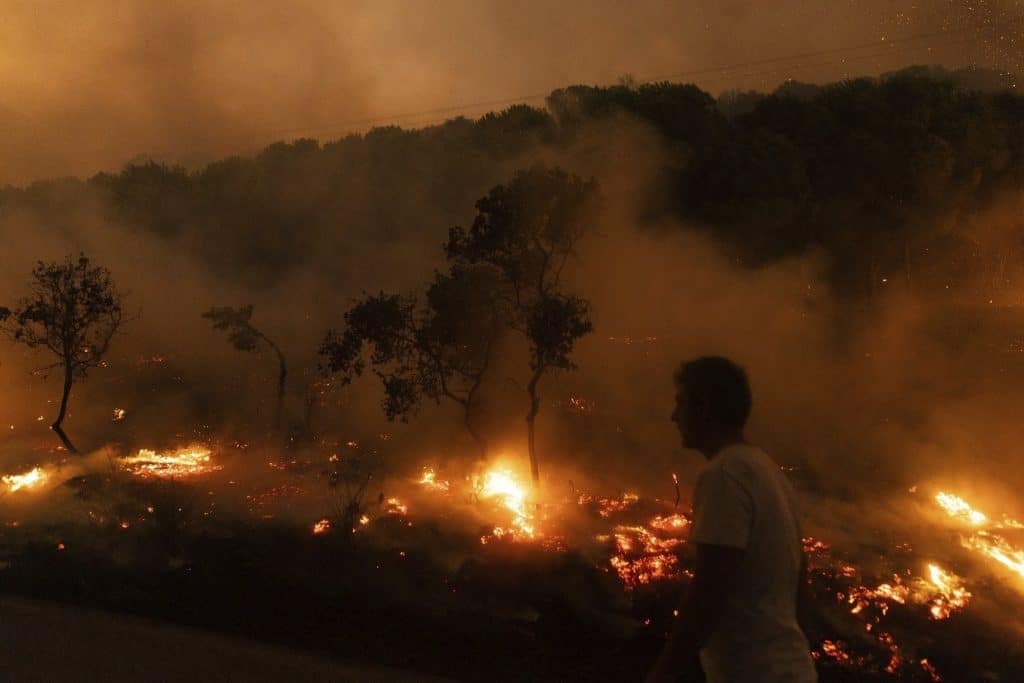 Σαρηγιάννης στην ΕΡΤ για σωματίδια στην ατμόσφαιρα λόγω πυρκαγιών: Συνδέονται με νευροεκφυλιστικές παθήσεις και με διταραχές στην αναπαραγωγή