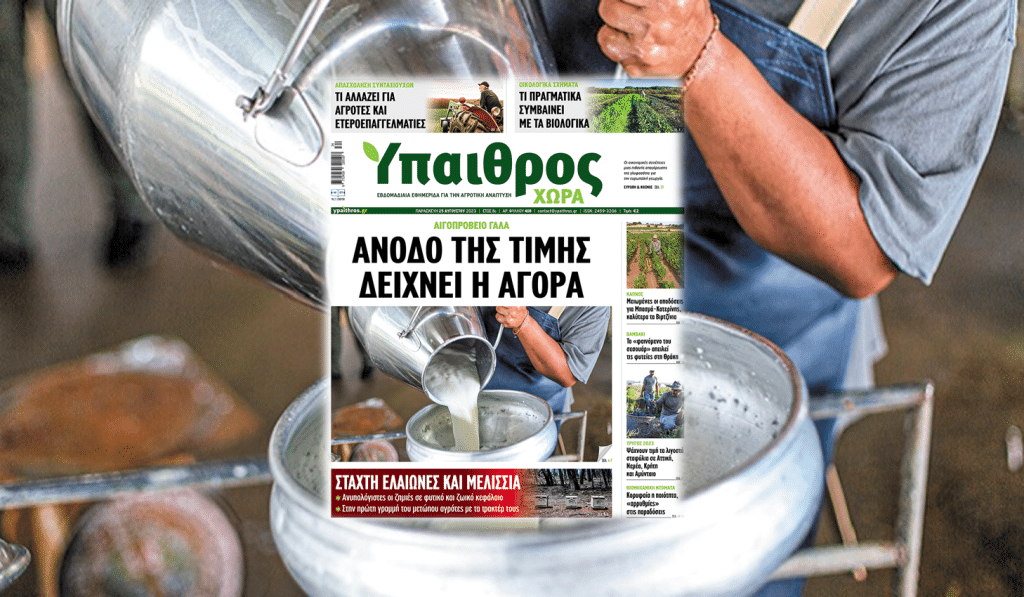 Διαβάστε στην «ΥΧ»: Αιγοπρόβειο γάλα – Άνοδο της τιμής δείχνει η αγορά